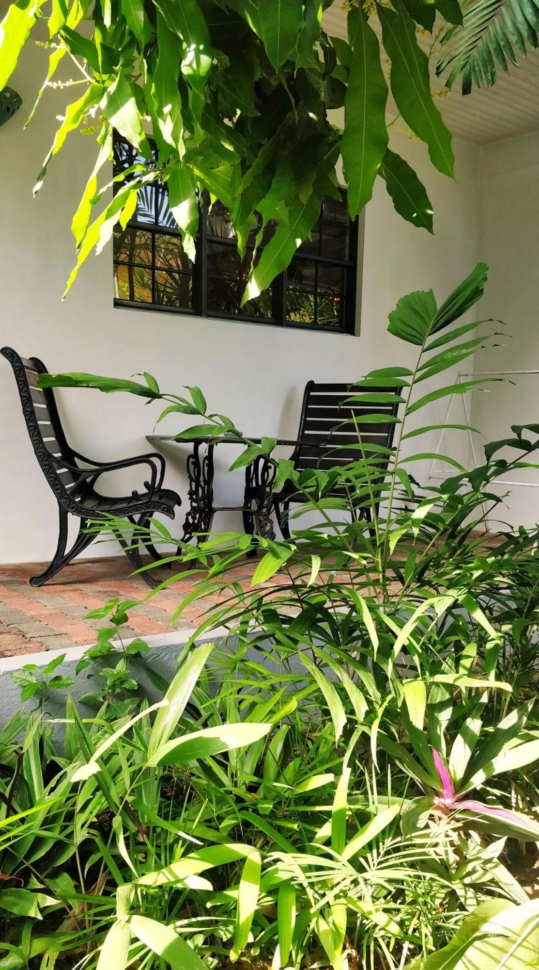 קראון פוינט Bananaquit Tobago -Stay Near The Beach מראה חיצוני תמונה